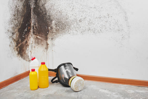 Crawl Space Mold Removal in Oswego, IL