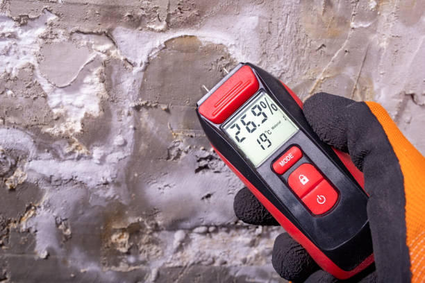 Best Home Mold Removal  in Oswego, IL