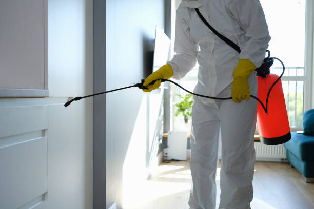 Best Residential Mold Removal  in Oswego, IL