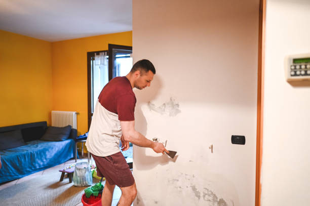 Trusted Oswego, IL Mold Removal Experts